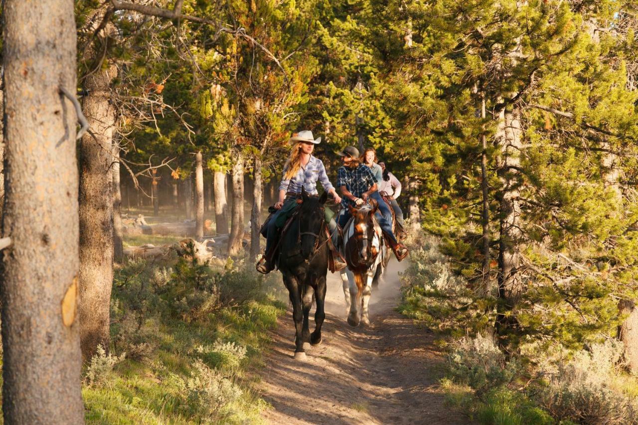 Headwaters Lodge & Cabins At Flagg Ranch Moran Exterior photo
